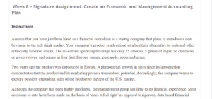 Create an Economic and Management Accounting Plan