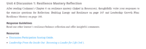 Resilience Mastery Reflection