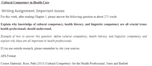 Cultural Competency in Health Care