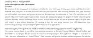 Team Development Plan