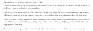 Investigation Project Plan