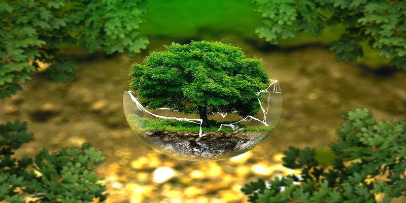 Environmental research topics