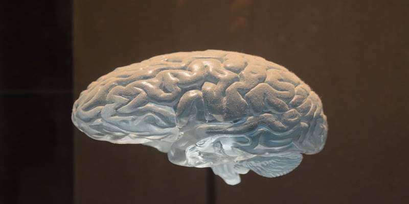 Neuroscience Research Topics