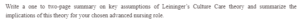 Leininger’s Culture Care theory