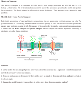 Cell Biology