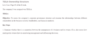 TESLA Ownership Structure