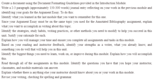 Argument Essay-Reflections and Goals
