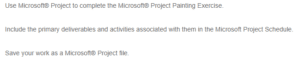 Microsoft(R) Project Painting Exercise and Executive Summary