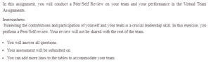 Qualitative Peer or Self-Evaluation