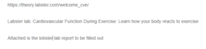 Cardiovascular Functioning During Exercise Lab Reporting