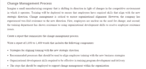 Change Management Process Report