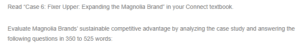 Magnolia Brand Case Study Analysis