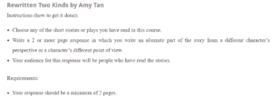 Rewritten Two Kinds by Amy Tan
