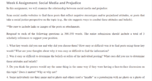 Social Media and Prejudice