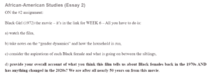 African-American Studies (Essay 2)