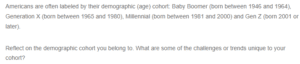 Demographic Cohort Reflection