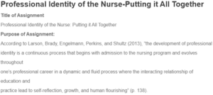 Professional Identity of the Nurse-Putting it All Together