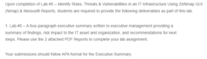 Risks, Threats, and Vulnerabilities in an IT Infrastructure Lab Report