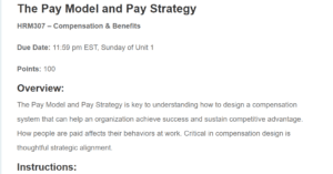 The Pay Model and Pay Strategy