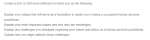 Values And Ethics Required to Being a Successful Human Services Practitioner