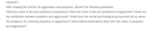 Aggression and Prejudice