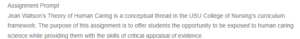 Critical Appraisal of Jean Watsons Theory of Human Caring
