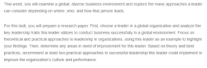 Improving Leadership for a Global Organization