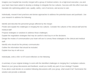 Merging Hospital Cultures