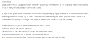 Mini-Paper - Gender Pay Inequity
