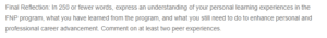Personal Learning Experiences in the FNP Program