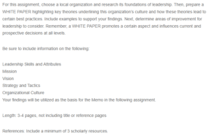 Portraying an Organization’s Foundations of Leadership - United Parcel Service