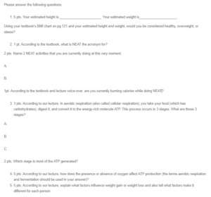 Questions on Cellular Respiration