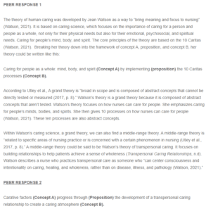 Response - Jean Watson's Theory of Human Caring
