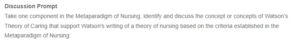 The Metaparadigm of Nursing and Watson’s Theory of Caring