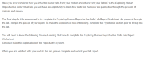 Exploring Human Reproductive Cells Lab Reportt