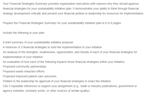 Financial Strategies Summary for the Sustainability Initiative Plan