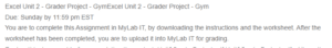 My Lab IT Worksheet