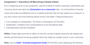 Assignment 1 Importance Of Becoming A Global Citizen