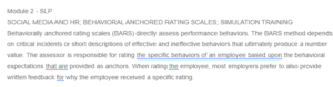 Behaviorally Anchored Rating Scales (BARS)- Assessing Performance Through Specific Behaviors