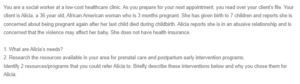 Finding Prenatal and Postpartum Resources for Alicia