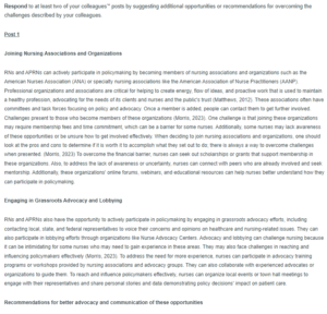 Peer Response - The Role of the RNAPRN in Policymaking
