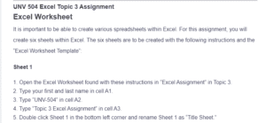 UNV 504 Excel Topic 3 Assignment