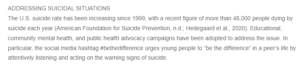 Addressing the Rising Suicide Rate in the United States- Strategies and Initiatives