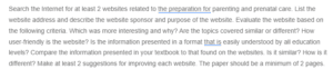 Internet Preparation for Parenting-Prenatal Care