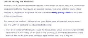 Lesson 5 Essay The Holocaust