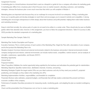 Marketing Plan - Blossom Seniors’ Agency