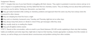 Support and Strategies for Chemistry Success