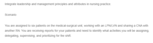 Assigning Delegating, Supervising and Prioritizing Care