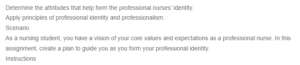 Developing Professional Identity in Nursing-A Guiding Plan for Students