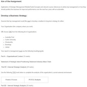 Developing a Business Strategy - Bunnings Warehouse